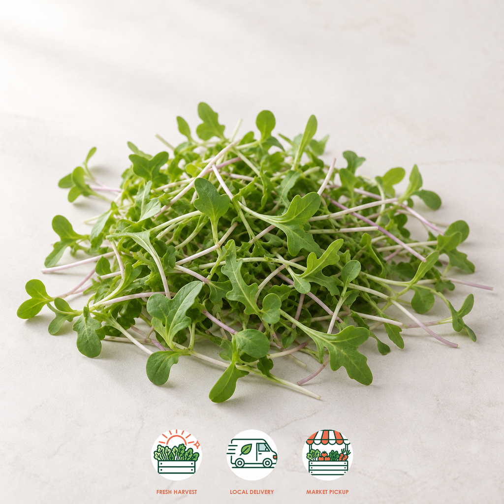 Arugula Microgreens
