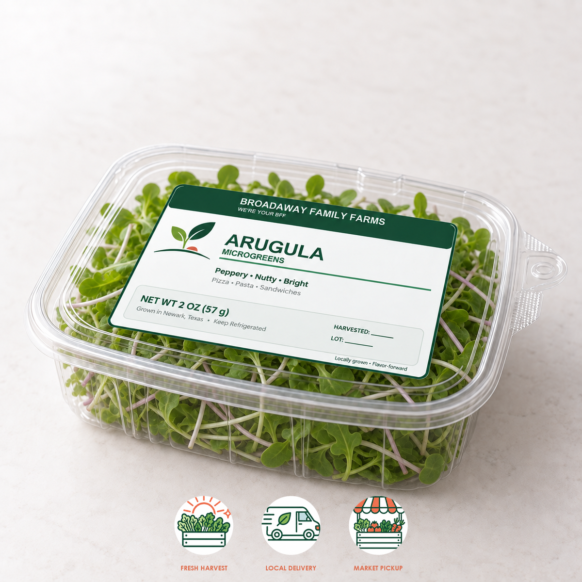 Arugula Microgreens