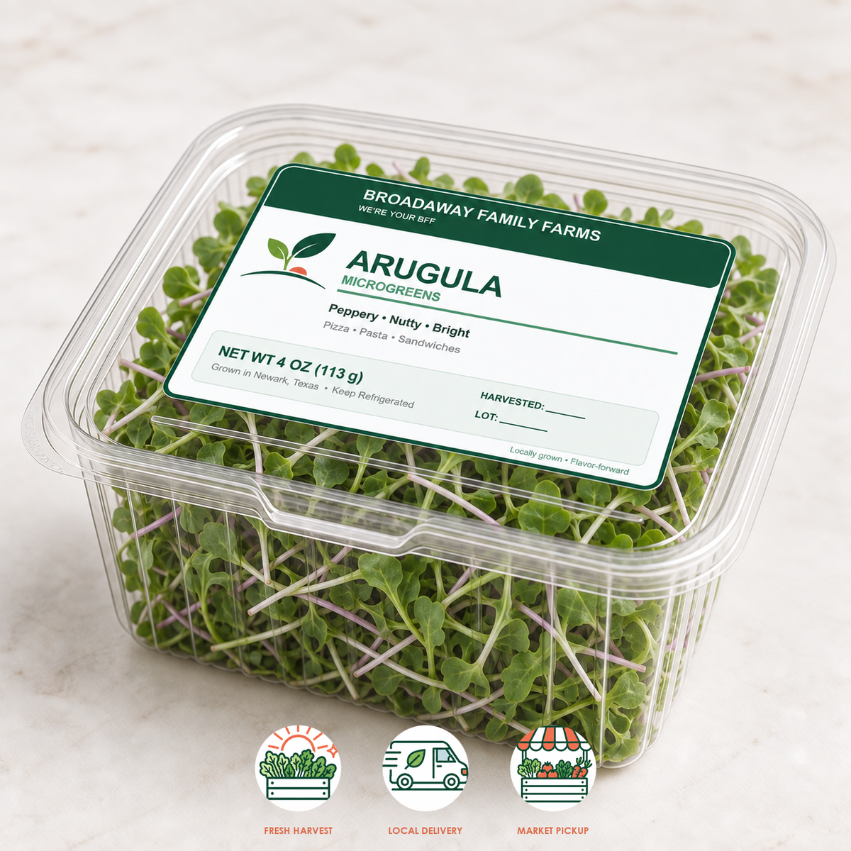 Arugula Microgreens