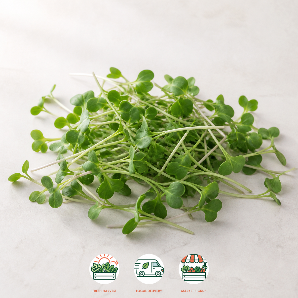 Broccoli Microgreens