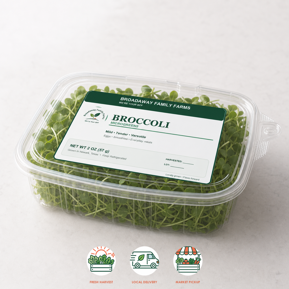 Broccoli Microgreens
