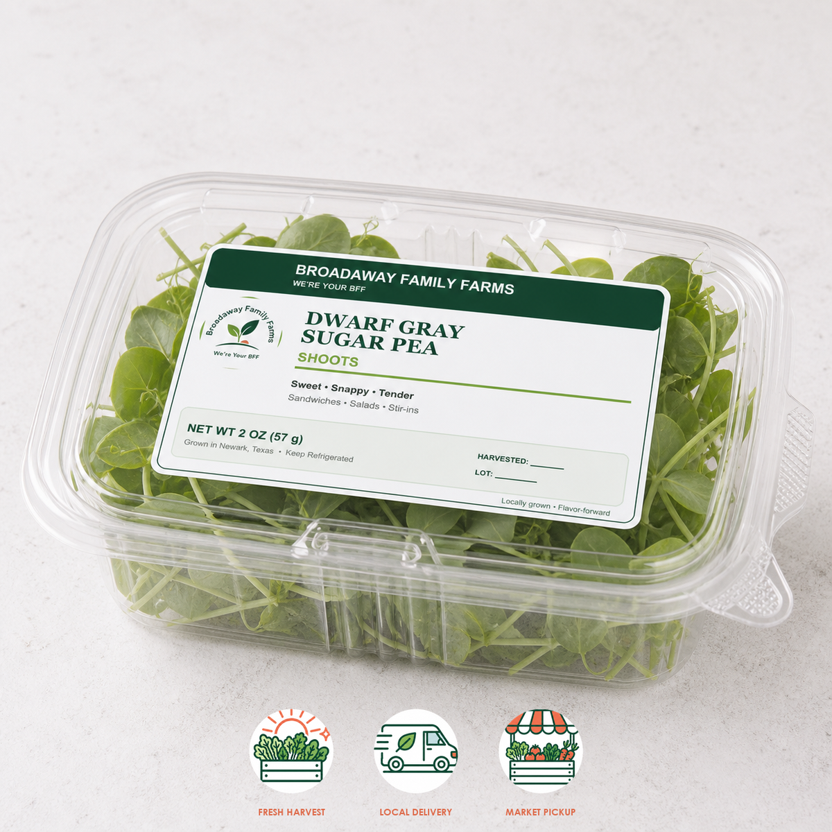 Dwarf Gray Sugar Pea Shoots