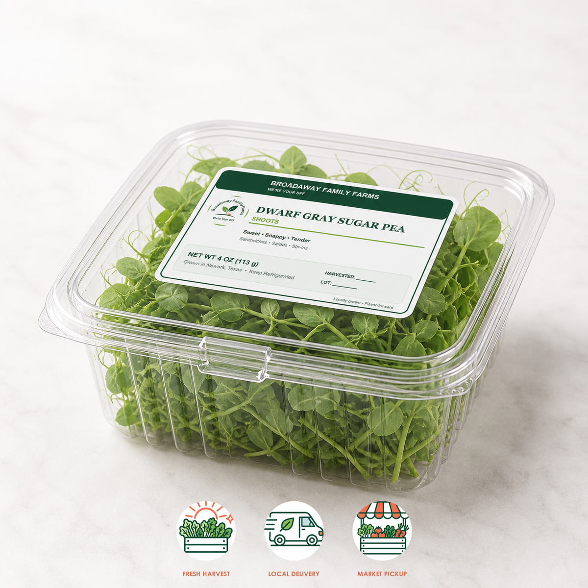 Dwarf Gray Sugar Pea Shoots