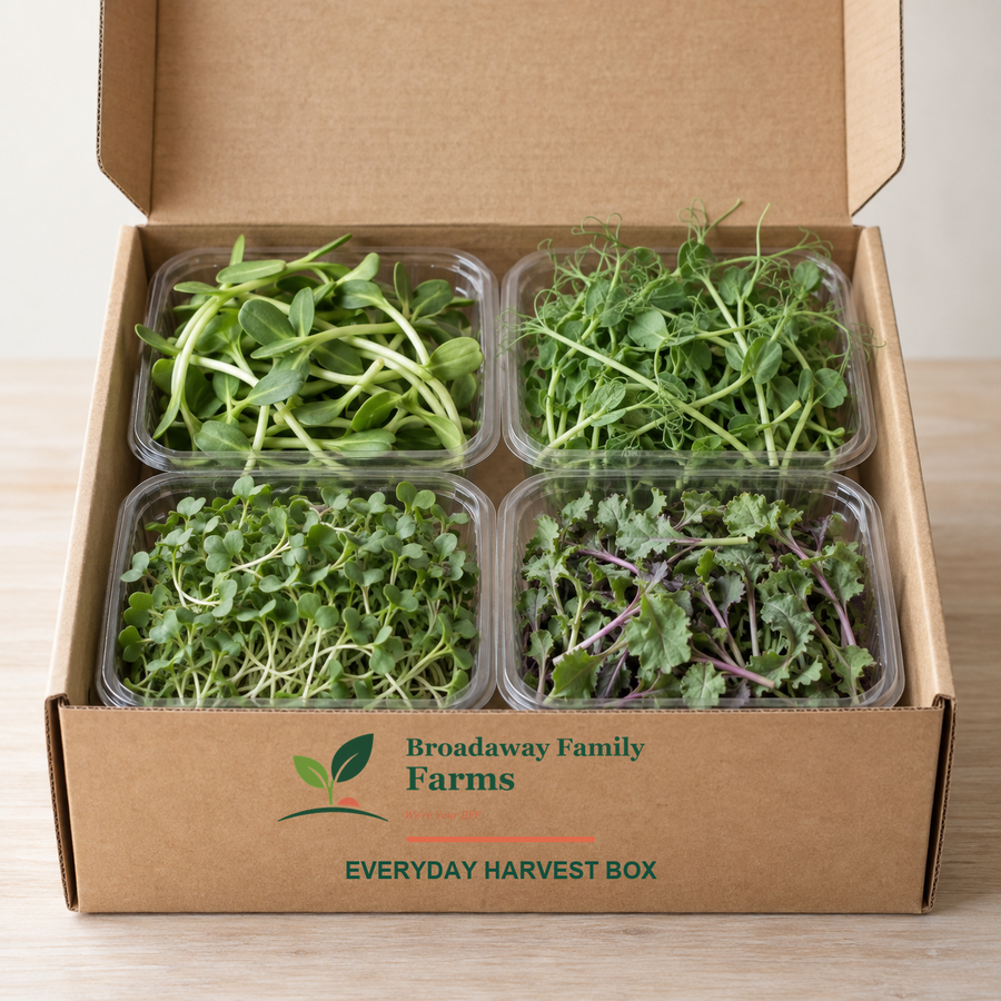 Everyday Harvest Box