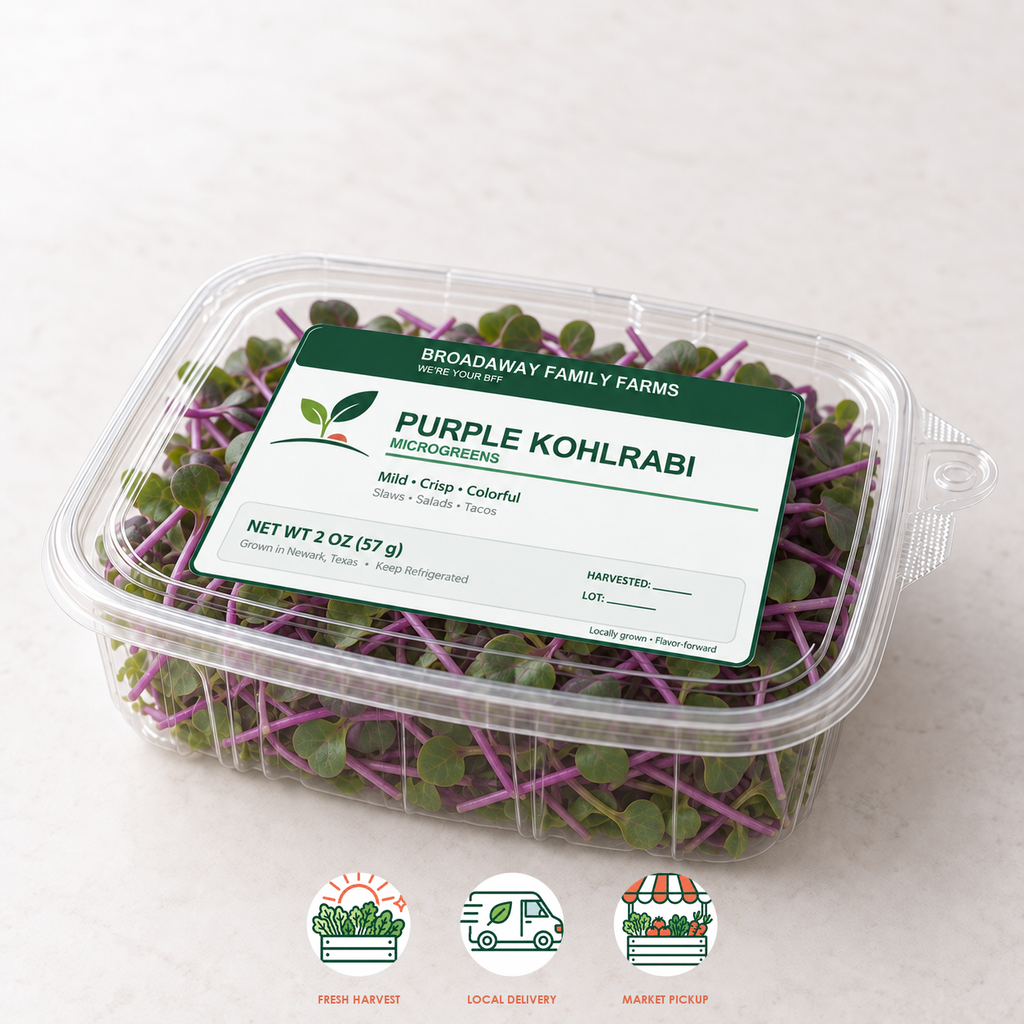 Purple Kohlrabi Microgreens