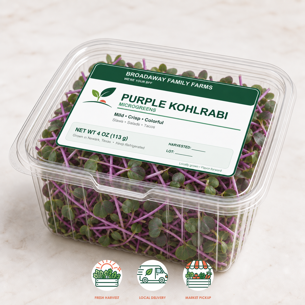 Purple Kohlrabi Microgreens