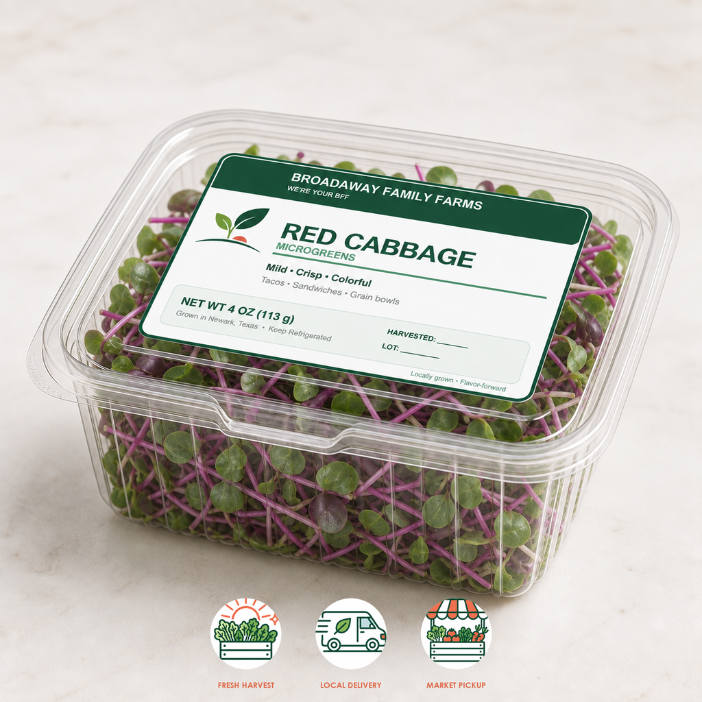Red Cabbage Microgreens