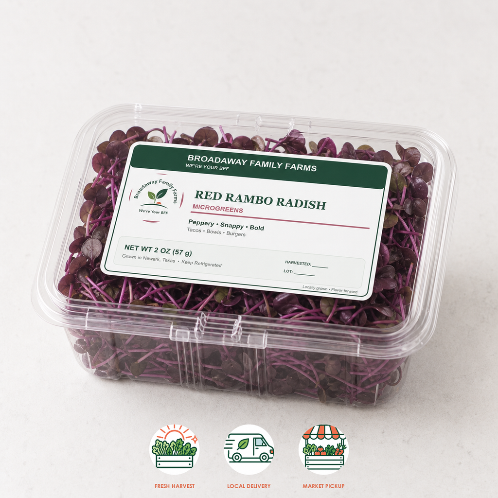 Red Rambo Radish Microgreens