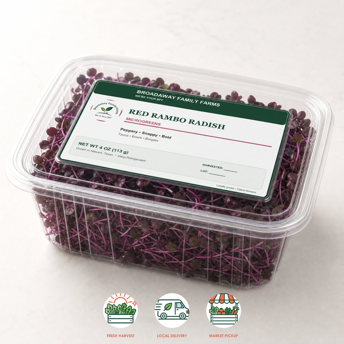 Red Rambo Radish Microgreens