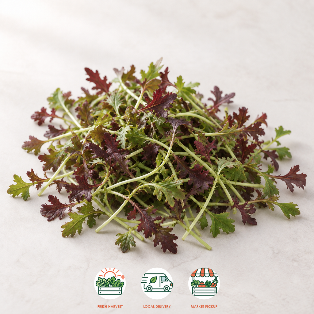 Ruby Streaks Mustard Microgreens