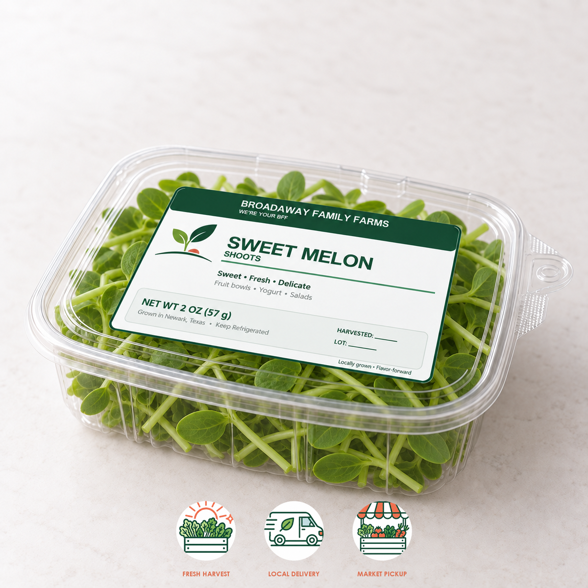 Sweet Melon Shoots